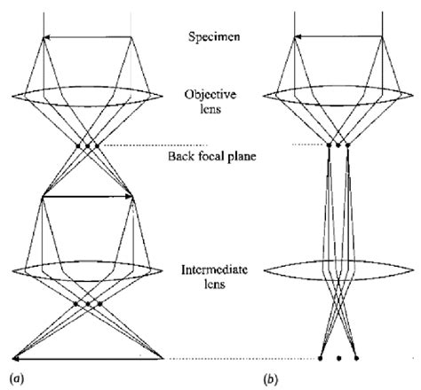 8 Schematic Representation Of A Transmission Electron Microscope 1119 Download Scientific