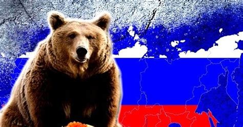 Медведь символ россии фото