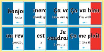 Greetings And Basic Phrases Ks French Twinkl