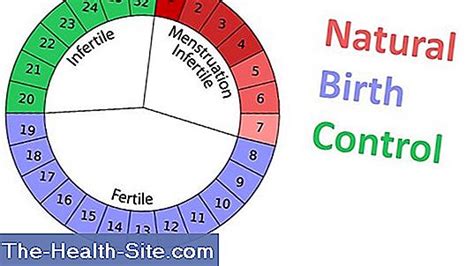 Natural Contraception: What Methods Are Available? 💊 Scientific ...