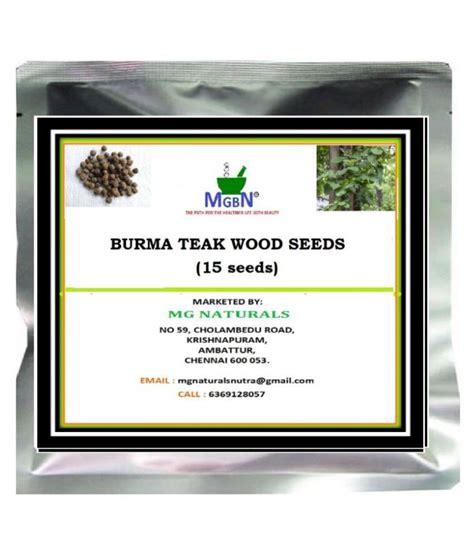 Burma Teak Wood Seeds 15 Seeds Buy Burma Teak Wood Seeds 15 Seeds Online At Low Price