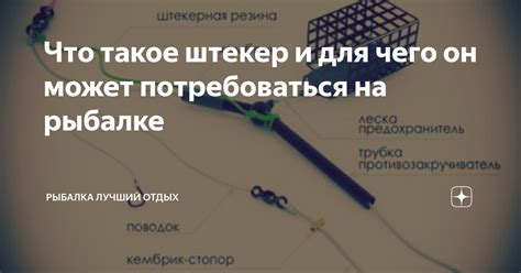 Что такое штекер и для чего он может потребоваться на рыбалке | Рыбалка ...