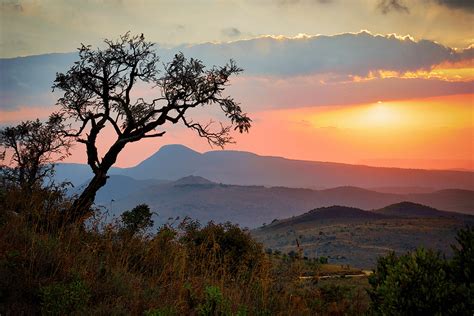 Kruger National Park The Gem In The Heart Of Africa The Citizen