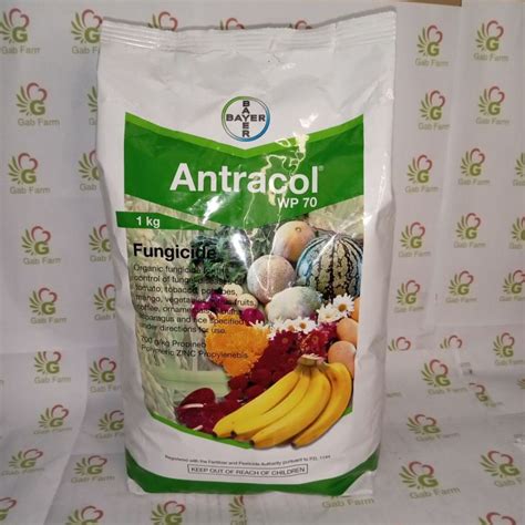 Bayer Antracol Wp Kg Lazada Ph