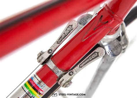 Steel Vintage Bikes Flandria Classic Road Bike 1970s