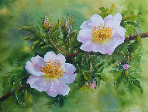 Картина акварелью "Шиповник" в интернет-магазине Ярмарка Мастеров по ...