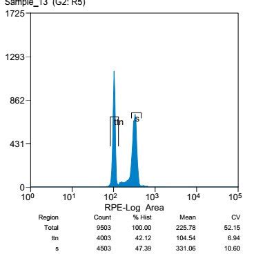 Estimation Of Absolute Nuclear DNA Amount Genome Size In Menia