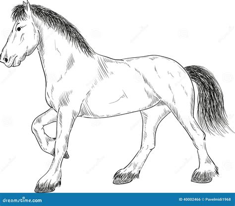 Horse Stand Vector Illustration 40002466