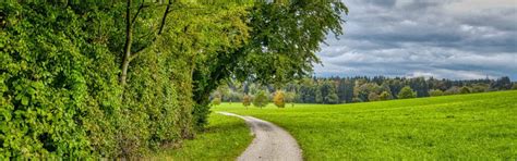 creating open spaces basc