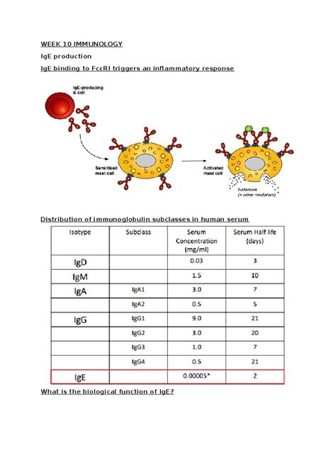 WEEK 10 Immunology Week 10 WEEK 10 IMMUNOLOGY IgE Production IgE