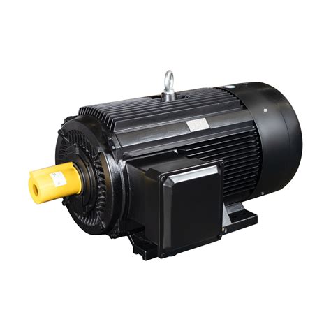 Typ Series Frequency Conversion Permanent Magnet Synchronous Motor 200kw China Alternator And