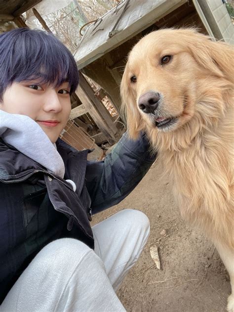 Enhypen Community Posts 귀여운 강아쥐♥️♥️ Cute Dogs Dogs Cute