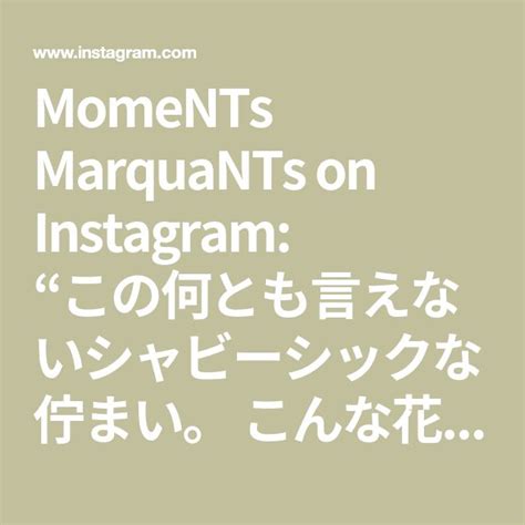 MomeNTs MarquaNTs on Instagram この何とも言えないシャビーシックな佇まい こんな花が似合う女性に憧れます