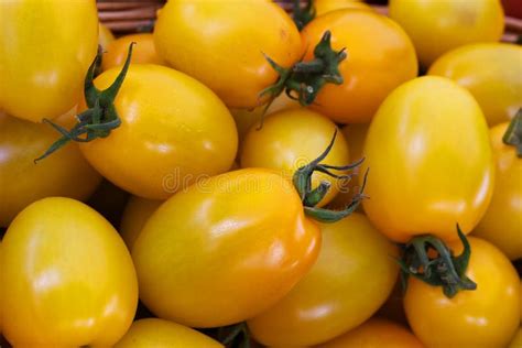 Yellow Plum Tomatoes stock image. Image of cooking, ingredient - 28034863