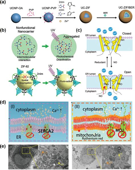 厦门大学刘刚教授团队：钙基纳米材料与癌症—从诊断到治疗 Nano Micro Letters