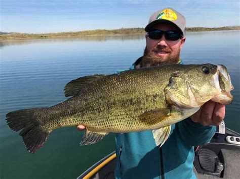 Giant Black Bass Fishing In Extremadura