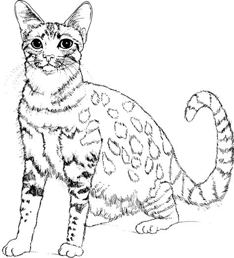 Cute cat - Animal Coloring pages for kids to print & color