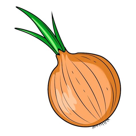 Premium Vector Onion Isolated On White Background