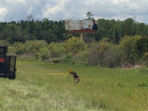 Deputies Identify Woman Found Alongside I 75 In Fort Myers