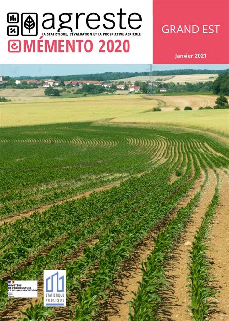 Calaméo Mémento 2020 Statistique évaluation Et Prospective