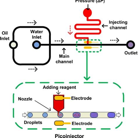 Schematic Of The Microfluidic Device The Device Consists Of A Droplet