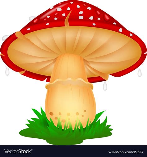 Mushroom cartoon Royalty Free Vector Image - VectorStock