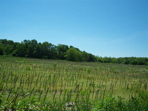 Elevation of County Rd, Port Crane, NY, USA - MAPLOGS