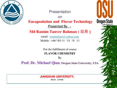 (PPT) Encapsulation and Flavor .ppt