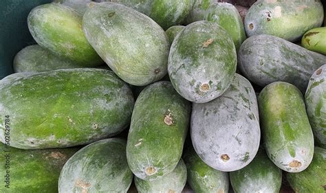 Bunch Of Fresh Benincasa Hispida The Wax Gourd Also Called Ash White