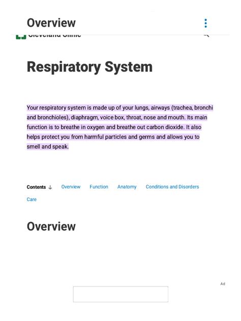 Respiratory System_ Organs, Facts, Anatomy & Function | PDF ...