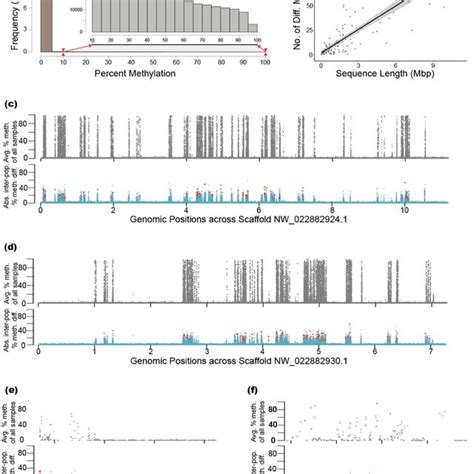 Genome-wide distribution of CpG methylation in B. vosnesenskii. (a ... 