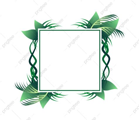 Fronteira De Planta Verde PNG Quadro Armação Fronteira De Planta