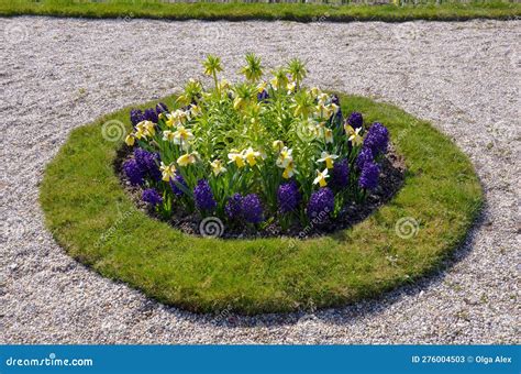 Beautiful Flowerbed, Purple Hyacinths and Yellow Daffodils Stock Image - Image of grass, castle ...