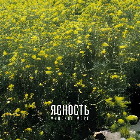 The Minsk Sea | LUCIDITY | Zegema Beach Records