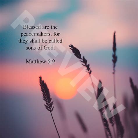 matthew  innovative faith resources