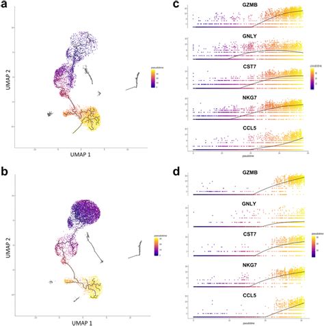 A B Umap Visualizing The Pseudotime Trajectory Of The Aggregated Download Scientific Diagram