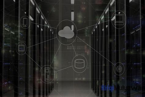 server  pengertian fungsi jenis  macam karakteristiknya