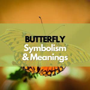 Butterfly: Symbolism, Meanings, and History - Symbol Genie