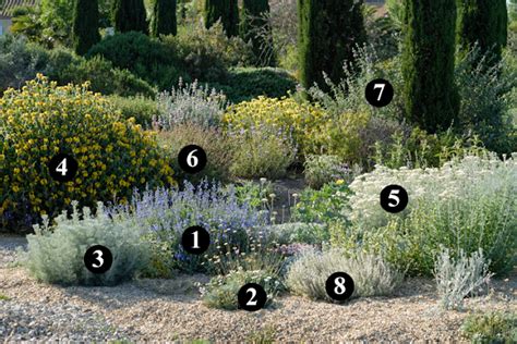 Planting Design For Dry Gardens By Olivier Filippi Dry Garden Gravel