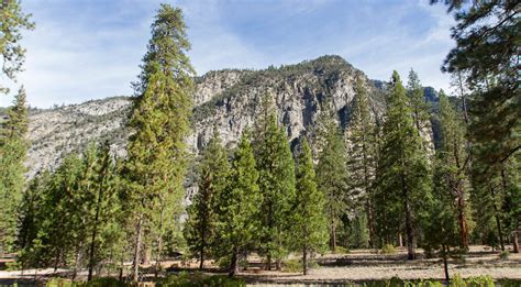 Moraine Campground Sequoia And Kings Canyon National Parks U S National Park Service