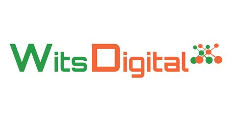 Top It And Digital Marketing Consultants In Delhi Ncr India Wits Digital