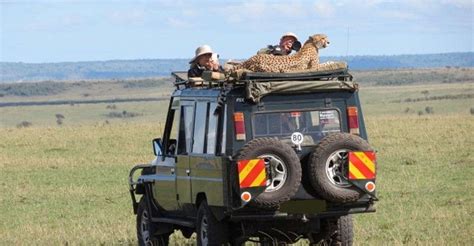 Dagen Masai Mara Lodge Safari Met Een X Land Cruiser Jeep