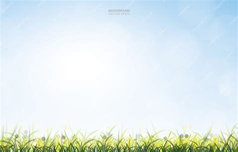 premium vector outdoor background  green grass field  soft sky