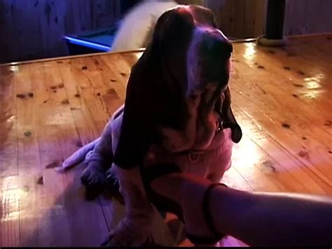 Patty Page Porn Videos Porn Star Sex Scenes Xhamster