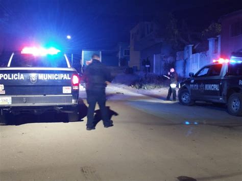 Reportan 12 Homicidios Durante Las últimas Horas En Tijuana Semanario