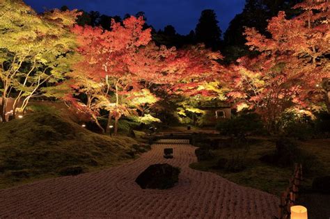 円通院の紅葉画像3枚目 ｜紅葉名所2024