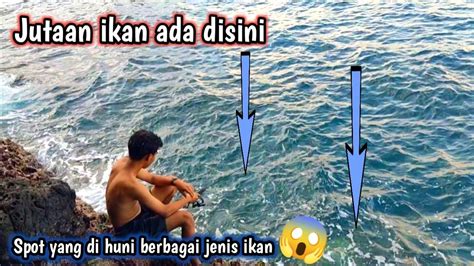 Spot Yang Di Huni Jutaan Ikan Berbagai Jenis Ikan Ada Disini