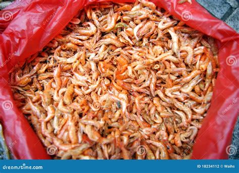 Dried Shrimp Stock Photo Image Of Cooking Aquatic Water 18234112