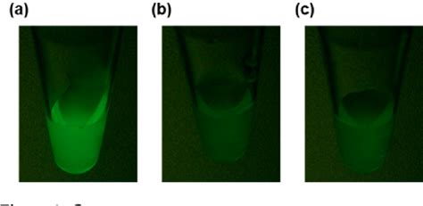 Figure 1 From Fluorescence Imaging Using Enzyme Activatable Probes For