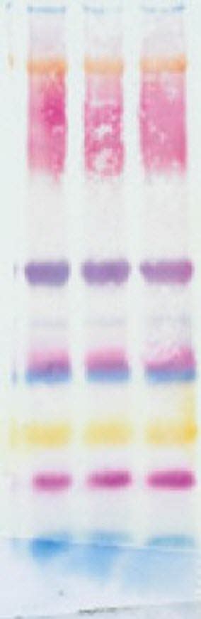 Semi Dry Or Tank Electrotransfer Life Science Research Merck